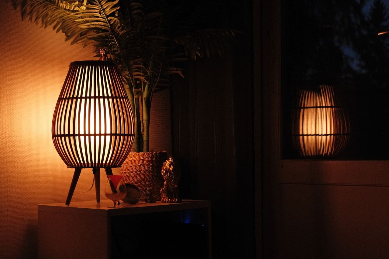 Sculptural lamps glowing against a dark wall