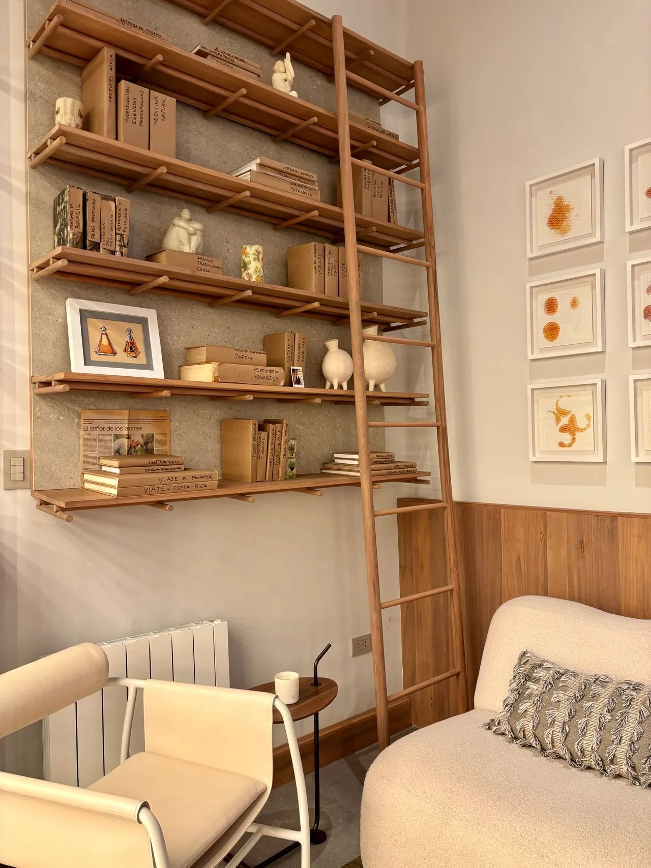Timber shelving with books and small artworks